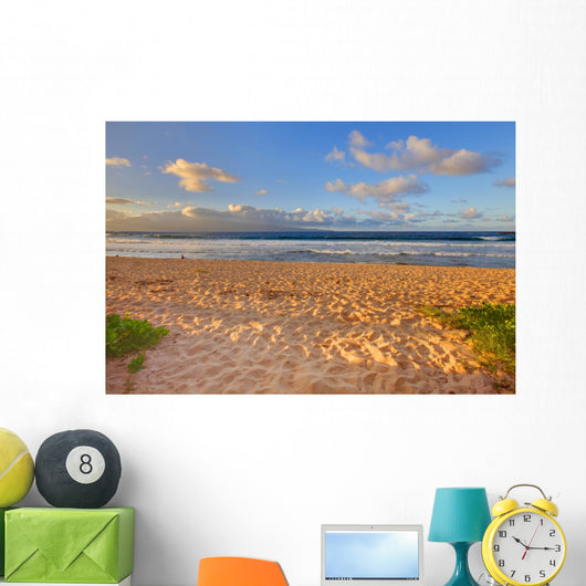 Tropical Gold Sand Beach