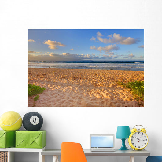 Tropical Gold Sand Beach