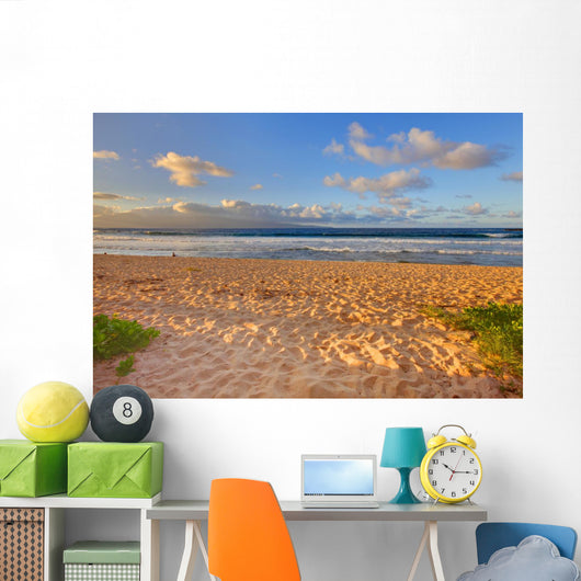 Tropical Gold Sand Beach