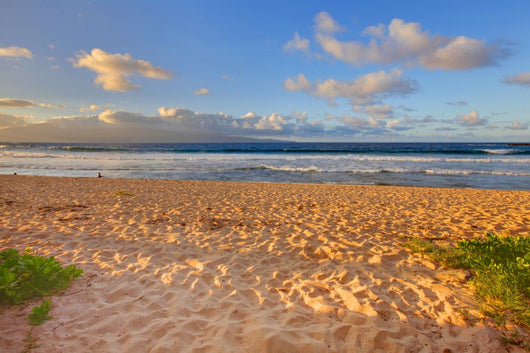 Tropical Gold Sand Beach