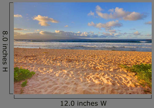 Tropical Gold Sand Beach