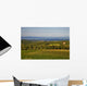 Chianti Hills and Vineyards