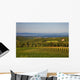 Chianti Hills and Vineyards