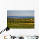 Chianti Hills and Vineyards