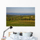 Chianti Hills and Vineyards