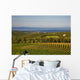 Chianti Hills and Vineyards
