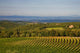 Chianti Hills and Vineyards