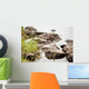Nature Wall Mural