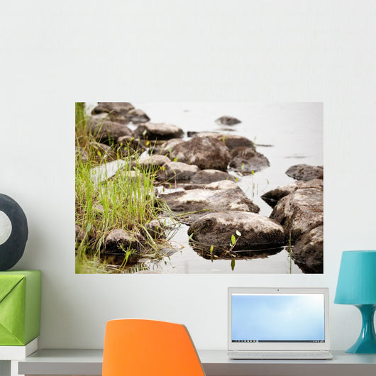 Nature Wall Mural