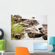 Nature Wall Mural