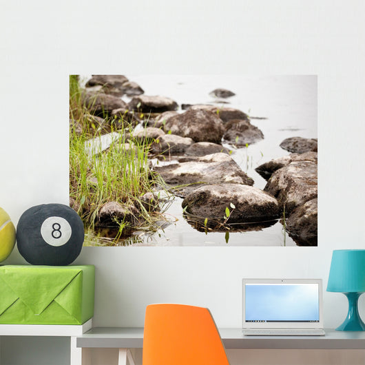 Nature Wall Mural