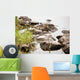 Nature Wall Mural