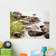 Nature Wall Mural