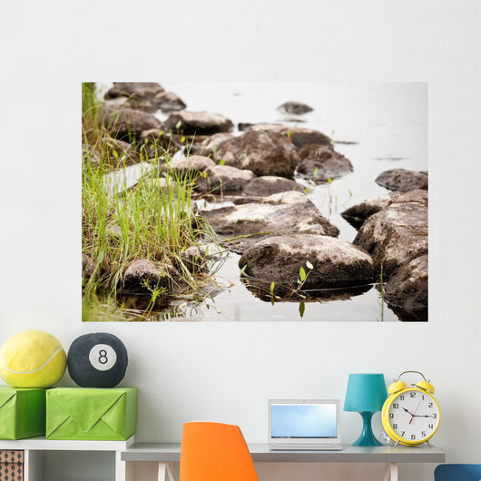 Nature Wall Mural