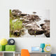 Nature Wall Mural