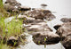 Nature Wall Mural