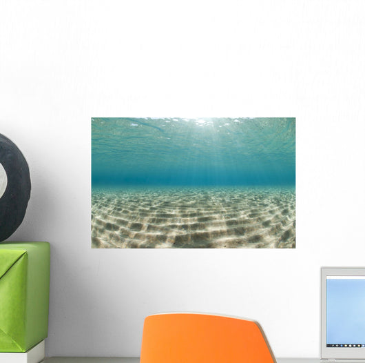 Ripples of sunlight reflected on the sandy ocean floor. Wall Mural