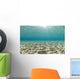 Ripples of sunlight reflected on the sandy ocean floor. Wall Mural