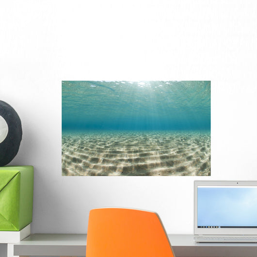 Ripples of sunlight reflected on the sandy ocean floor. Wall Mural