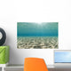 Ripples of sunlight reflected on the sandy ocean floor. Wall Mural