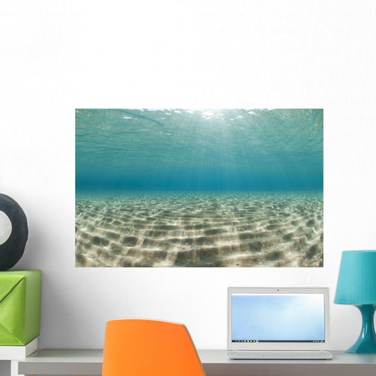 Ripples of sunlight reflected on the sandy ocean floor. Wall Mural