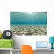 Ripples of sunlight reflected on the sandy ocean floor. Wall Mural