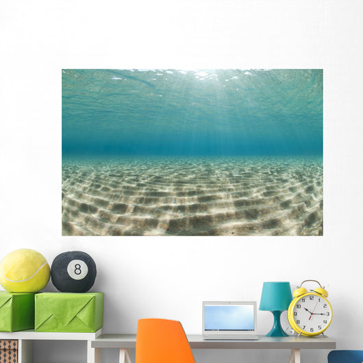 Ripples of sunlight reflected on the sandy ocean floor. Wall Mural