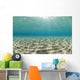 Ripples of sunlight reflected on the sandy ocean floor. Wall Mural
