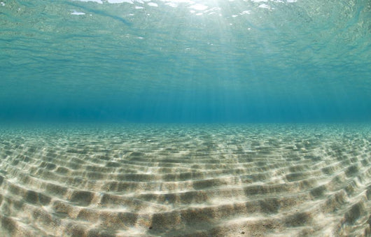 Ripples of sunlight reflected on the sandy ocean floor. Wall Mural
