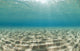 Ripples of sunlight reflected on the sandy ocean floor. Wall Mural