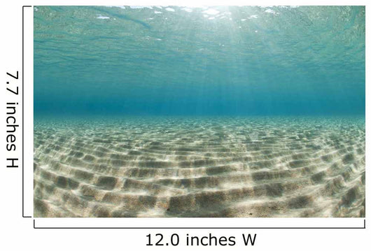 Ripples of sunlight reflected on the sandy ocean floor. Wall Mural
