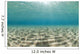 Ripples of sunlight reflected on the sandy ocean floor. Wall Mural
