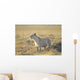 Lioness Wall Mural