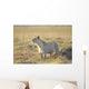 Lioness Wall Mural