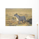 Lioness Wall Mural