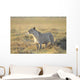 Lioness Wall Mural