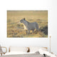 Lioness Wall Mural