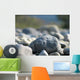 Flusskiesel Wall Decal