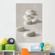 Blanc Wall Mural