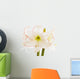 Amaryllis Close-up Wall Decal