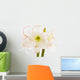 Amaryllis, close-up Wall Decal