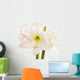 Amaryllis, close-up Wall Decal
