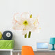 Amaryllis, close-up Wall Decal