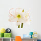 Amaryllis, close-up Wall Decal