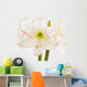 Amaryllis, close-up Wall Decal