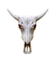 Bull Skull Wall Decal