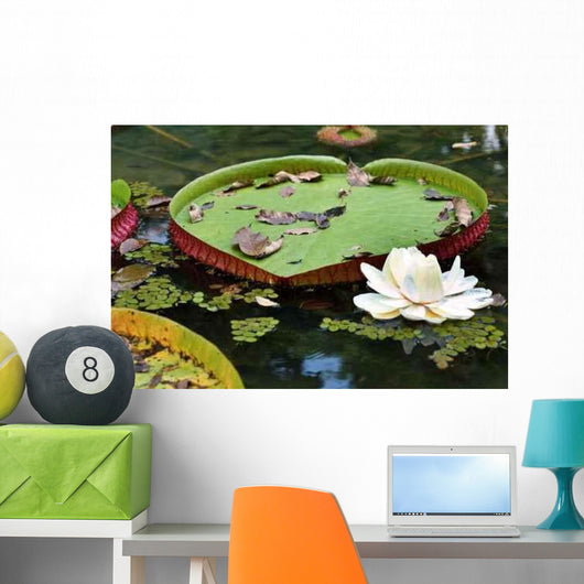 Vitoria Regia Wall Decal