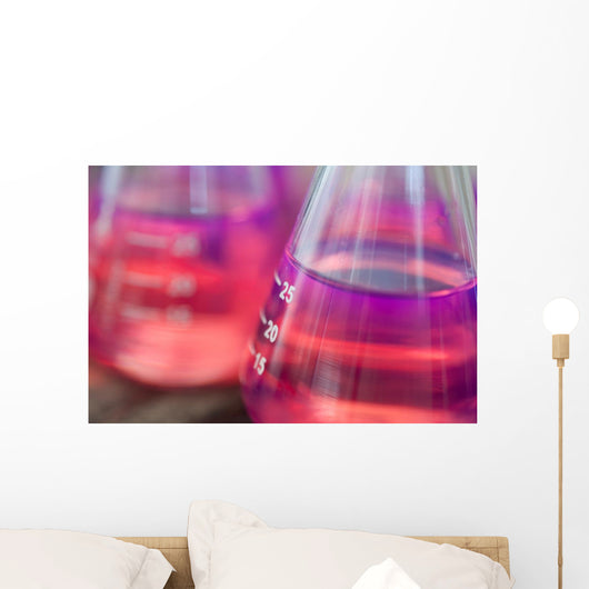 Close-up Test Tubes