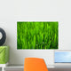 Grass Wall Mural