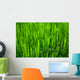 Grass Wall Mural